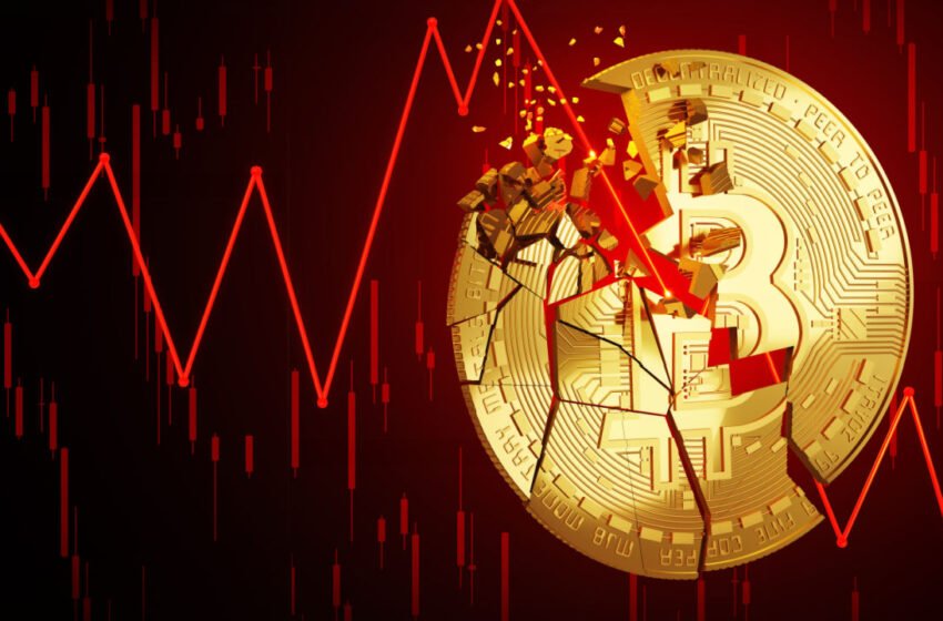  BTC Consolidates on Tuesday, Following 8-Month High – Market Updates Bitcoin News