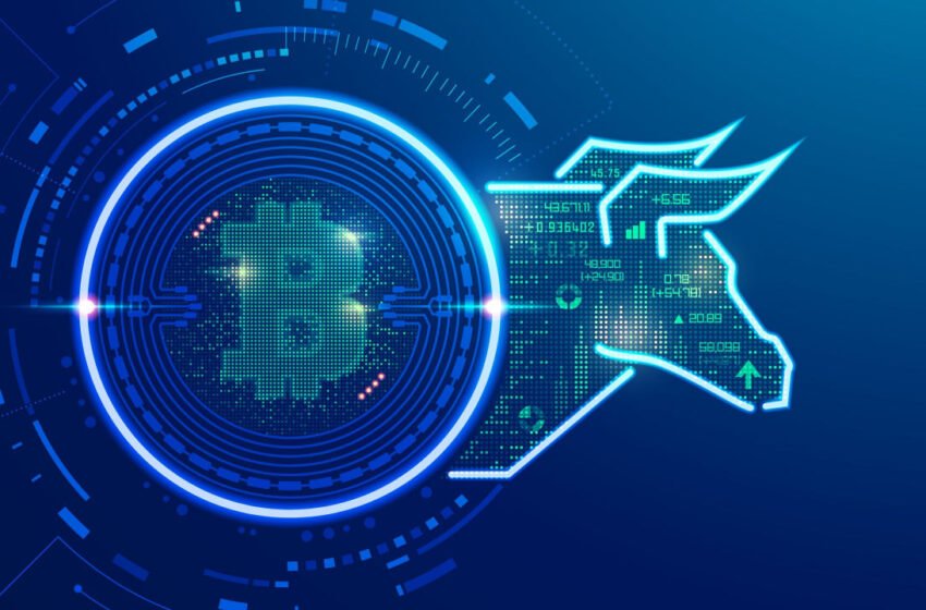  BTC Jumps to 6-Month High Above $24,000 – Market Updates Bitcoin News