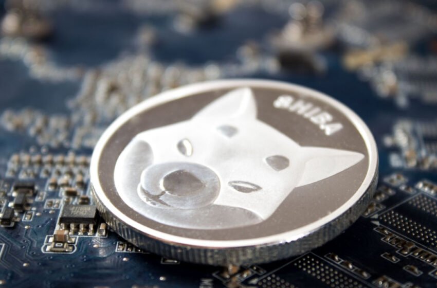  SHIB, DOT Remain Near 3-Month Highs, Despite Crypto Markets Falling – Market Updates Bitcoin News