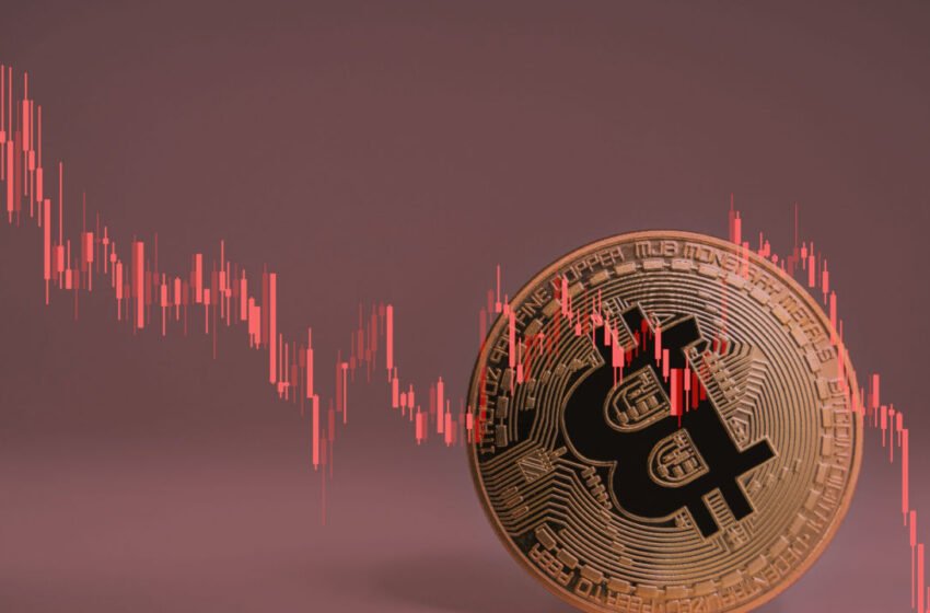  BTC Falls Below $25,000 Following Recent Surge – Market Updates Bitcoin News
