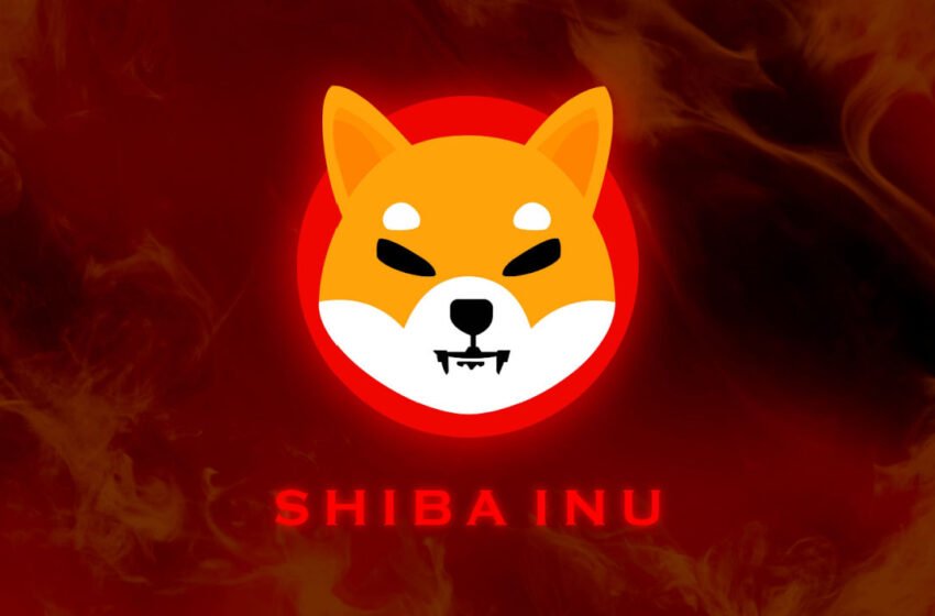  SHIB, LTC Rebound From Recent Losses on Saturday – Market Updates Bitcoin News