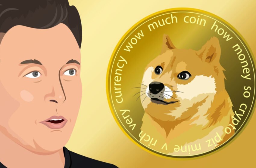  DOGE, SHIB Surge as Elon Musk Tweets Dog CEO Pictures – Market Updates Bitcoin News