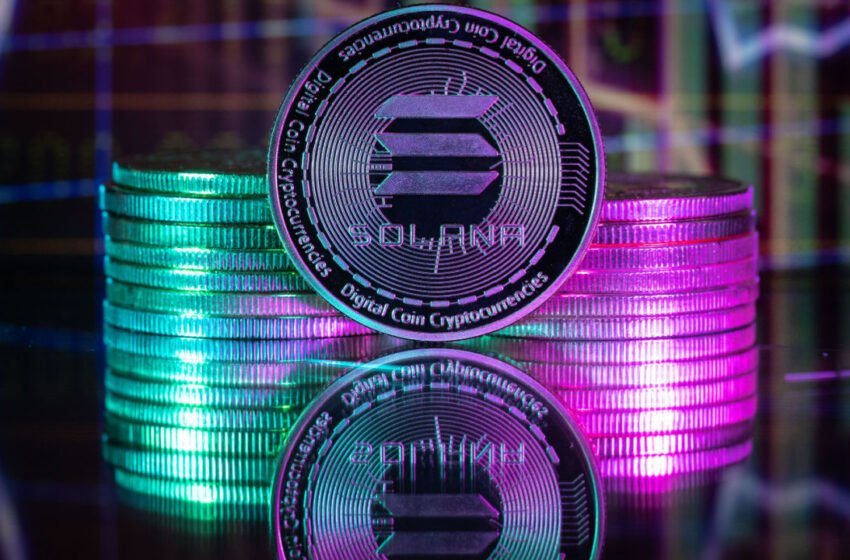  SOL 11% Higher, BCH Hits Strongest Point Since July  – Market Updates Bitcoin News