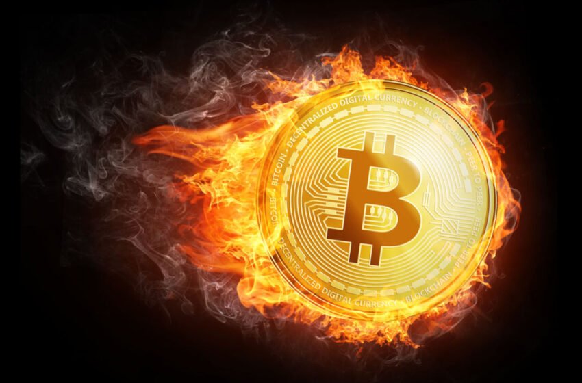  BTC Institutional Investor Forecast for 2023, Musk Makes McDonald’s Promise Again, Kiyosaki Says ‘We Are in Global Recession’ and More — Week in Review – The Weekly Bitcoin News