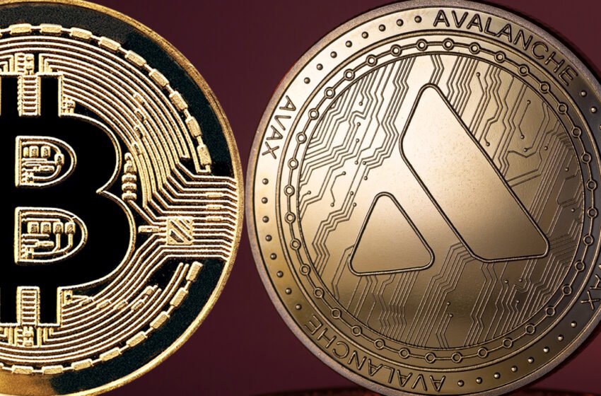  Avalanche Sees Surge in BTC Bridged to Its Network With Over $44 Million in Bitcoin Ported on Thursday – Bitcoin News