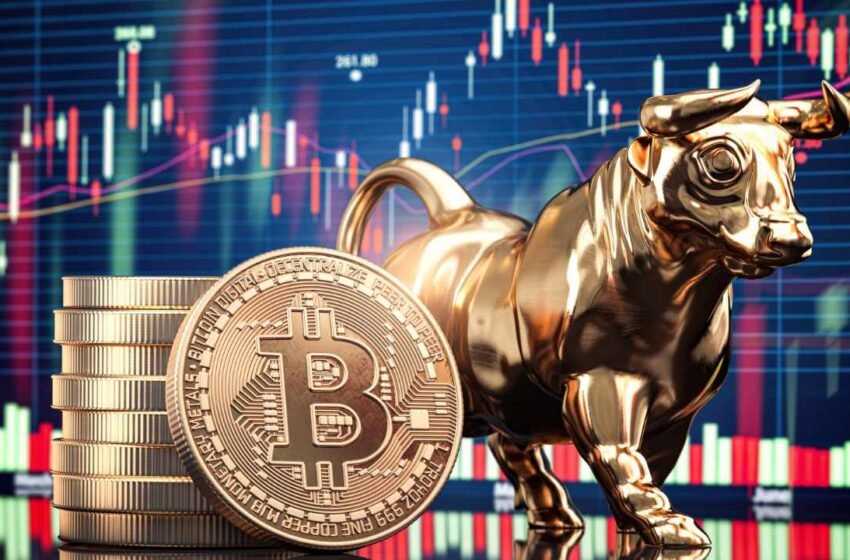  Vaneck CEO Predicts Bull Cycle for Bitcoin and Gold — Expects Fed Tightening to End Soon – Markets and Prices Bitcoin News