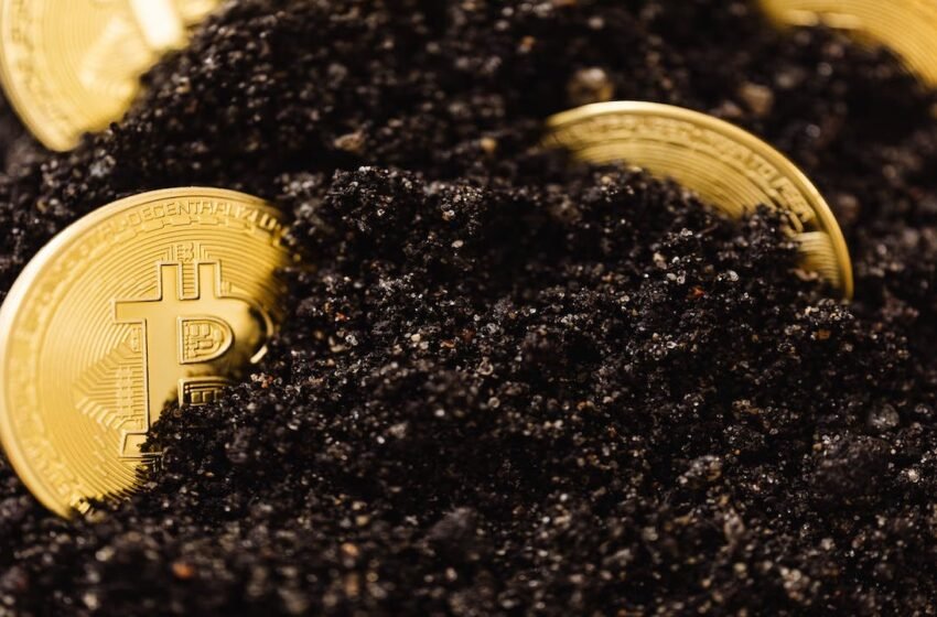  Number of Irretrievably Lost BTC Now 6 Million — Cane Island Manager – Featured Bitcoin News