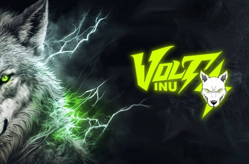  Volt Inu Partners With OKX to Enable OKX Wallet Web Extension Users to Access Voltichange – Press release Bitcoin News