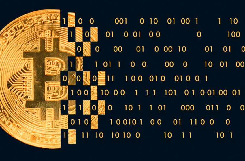  Rollkit Developers Leverage Bitcoin for Sovereign Rollups, Sparking Criticism from Ethereum Proponents – Technology Bitcoin News