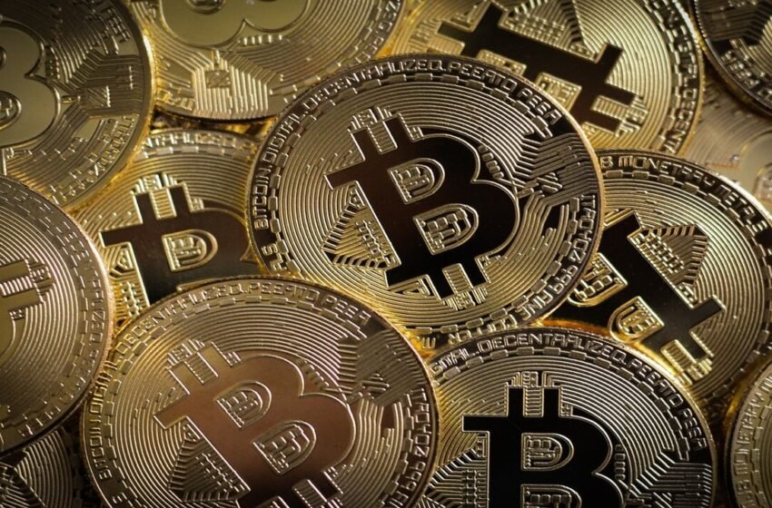  Bitcoin Millionaire Tim Draper Advises Startups to Keep Bitcoin as a Hedge Against a ‘Domino’ Run on the Banks – Finance Bitcoin News