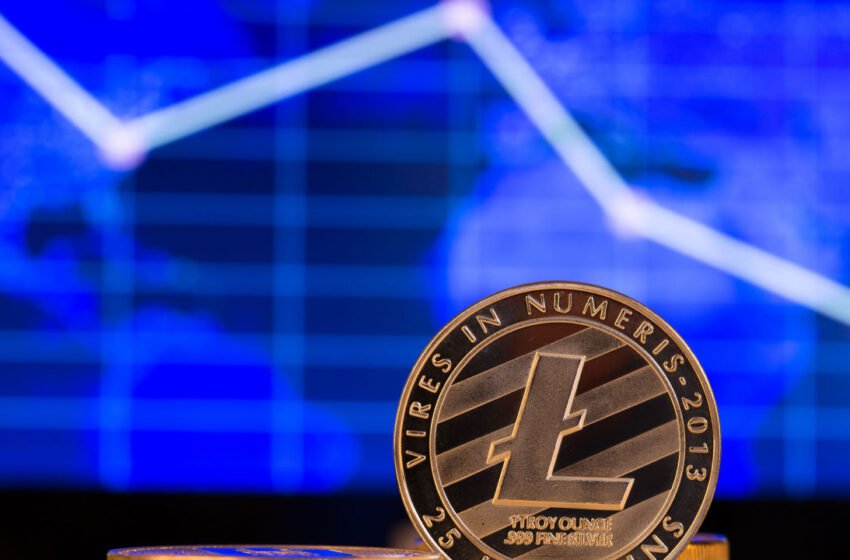  LTC, ETC 15% Higher, as Crypto Markets Rebound on Monday – Market Updates Bitcoin News