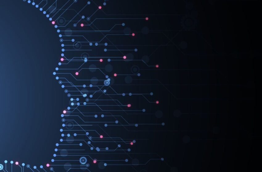  Crypto Exchange Bybit Partners With Innovation Growth Hub to Launch Blockchain Education Program – Bitcoin News