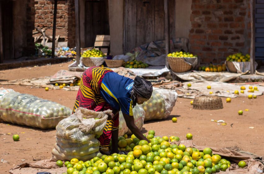  Benue State Residents Resort to Barter Trade – Africa Bitcoin News
