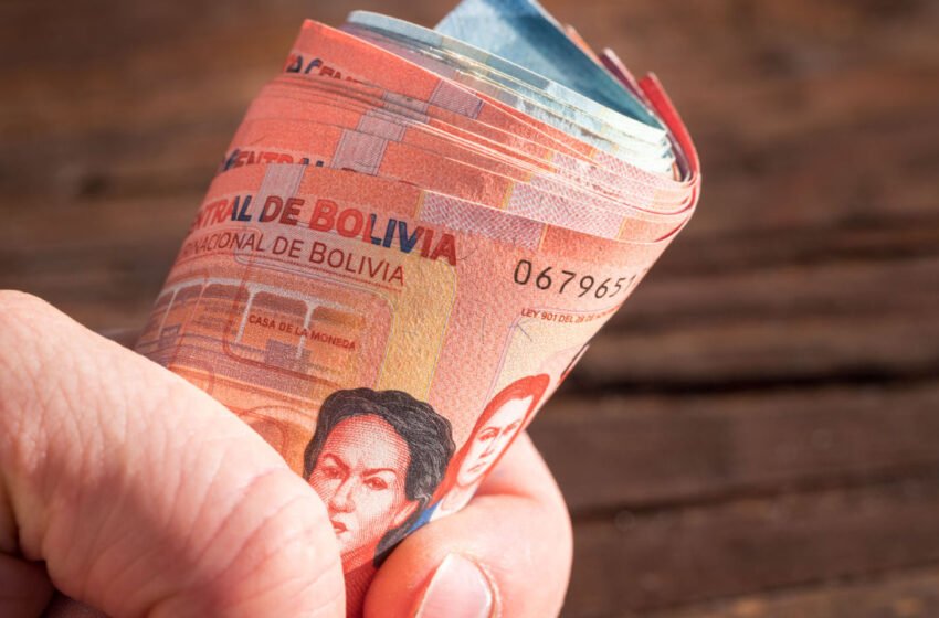  Central Bank of Bolivia Selling Dollars Directly to Citizens as Devaluation Fears Rise – Economics Bitcoin News