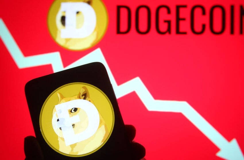  DOGE Down 10%, Falling to Lowest Point Since October – Market Updates Bitcoin News