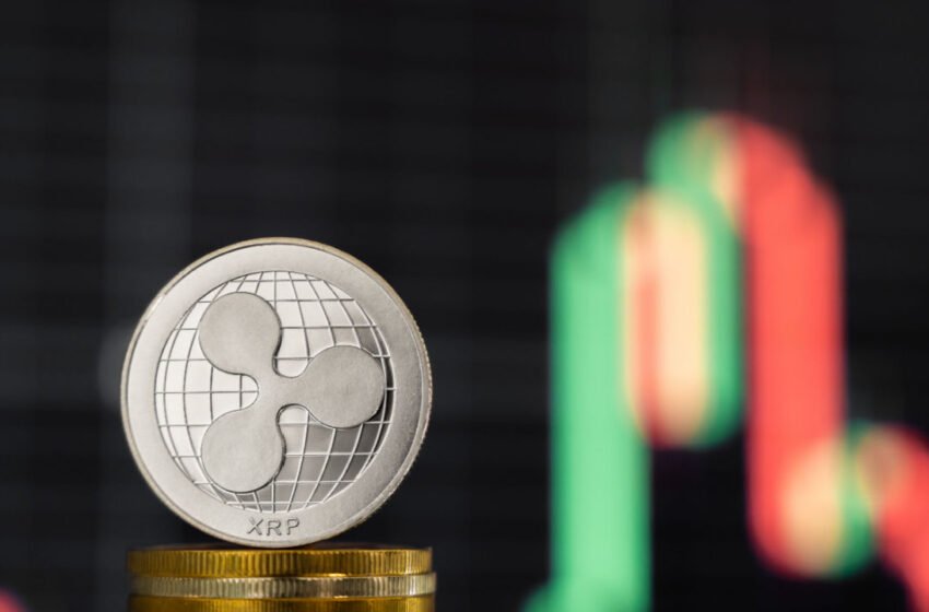  XRP, MATIC Rebound on Tuesday, Following Recent Lows – Market Updates Bitcoin News