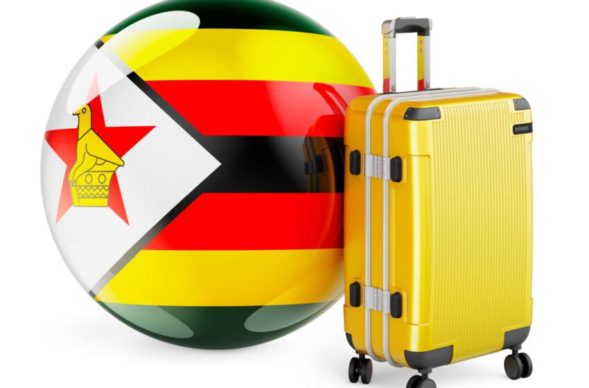  Zimbabwean Blockchain Startups Launch Service to Help Migrants Efficiently Move Funds Across Borders – Africa Bitcoin News