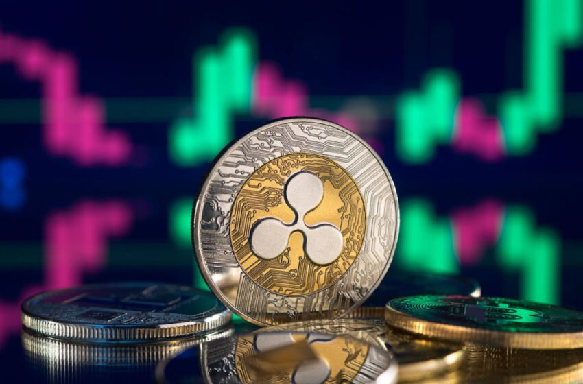  XRP, ADA Rebound From 2-Month Low on Saturday – Market Updates Bitcoin News