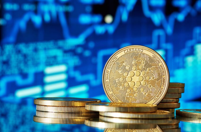 ADA Hits Multi-Week Low, as Red Wave Hits Crypto Markets – Market Updates Bitcoin News