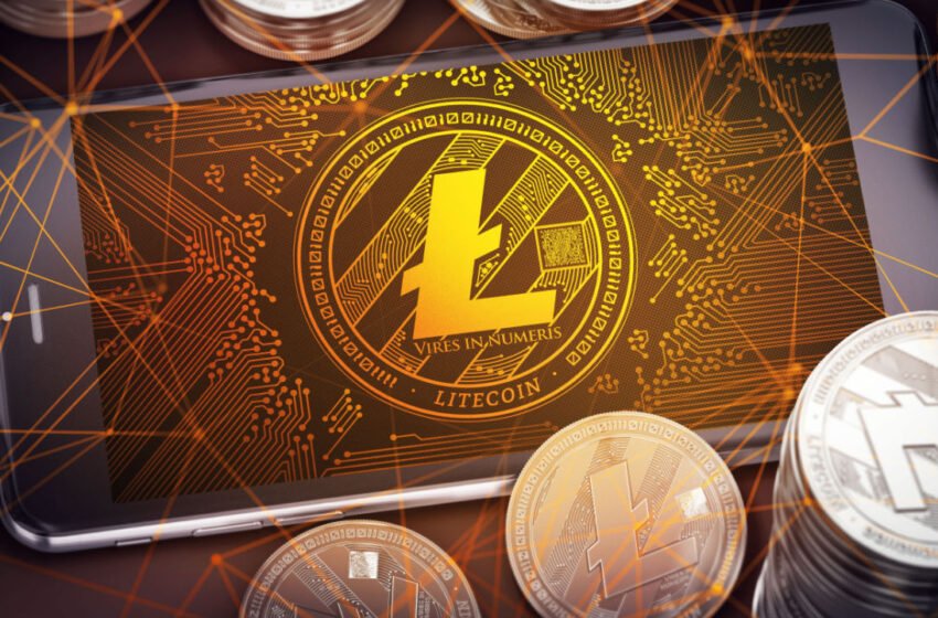  LTC Back Above $80, DOGE Extends Gains Following Inflation Report – Market Updates Bitcoin News