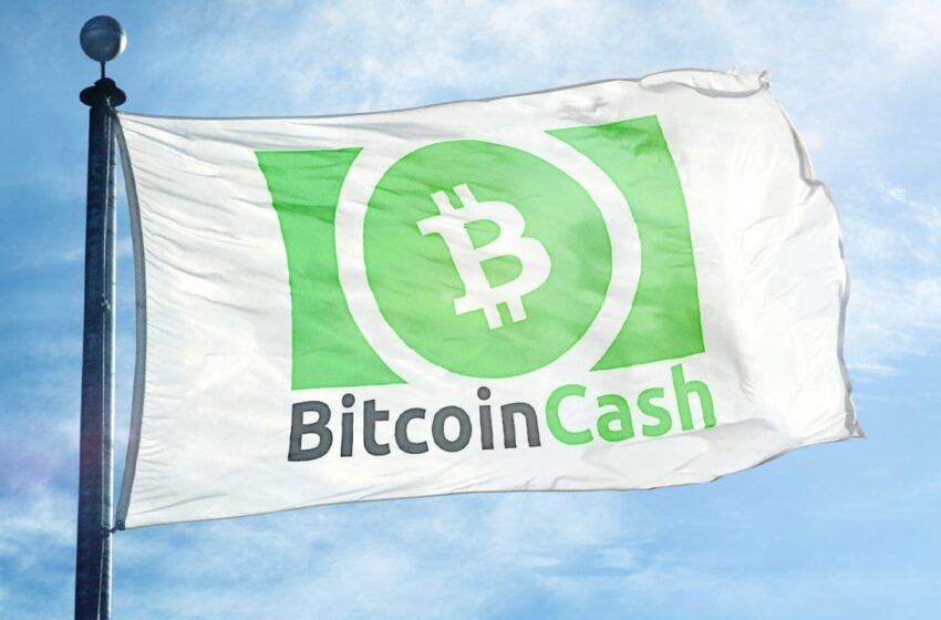  BCH Bull Launches Production Release, While Cashfusion Fuses Over $2 Billion in BCH – Bitcoin News