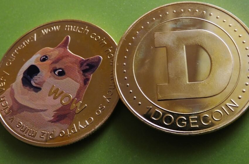  Elon Musk’s Twitter Logo Change Sends Dogecoin Soaring