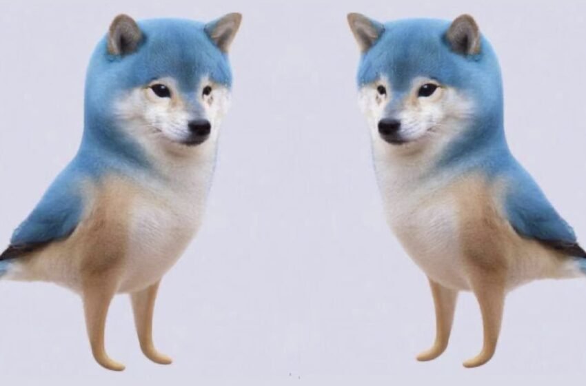  ‘Totally Irresponsible’ — Bitcoin Proponents Express Discontent Over Twitter’s Doge Logo Change – Bitcoin News