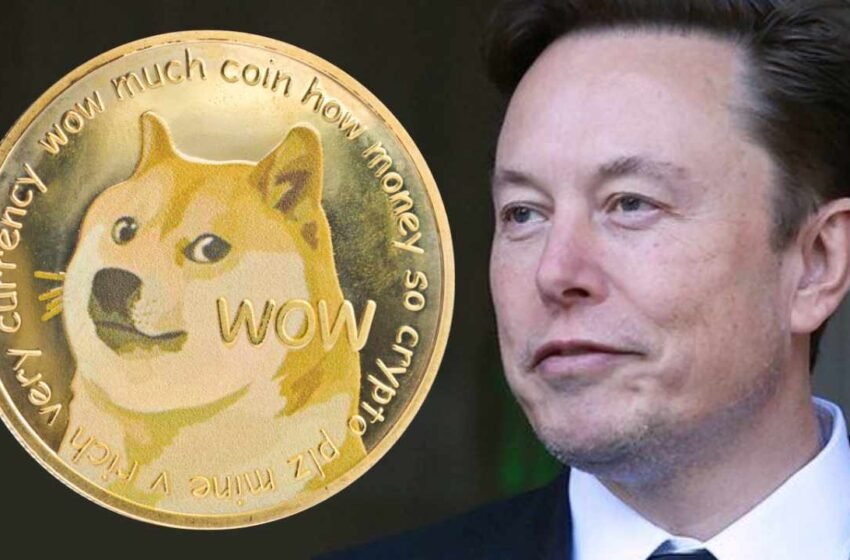  Elon Musk Asks Judge to Dismiss $258B Dogecoin Lawsuit — Insists Tweeting Support for DOGE Isn’t Unlawful – Featured Bitcoin News