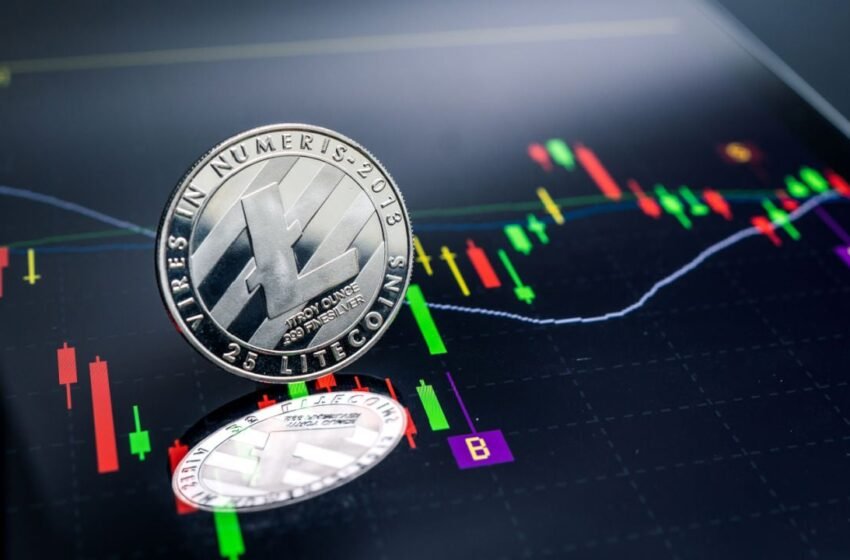  LTC, LINK Rebound on Monday, Despite Crypto Market Red Wave – Market Updates Bitcoin News