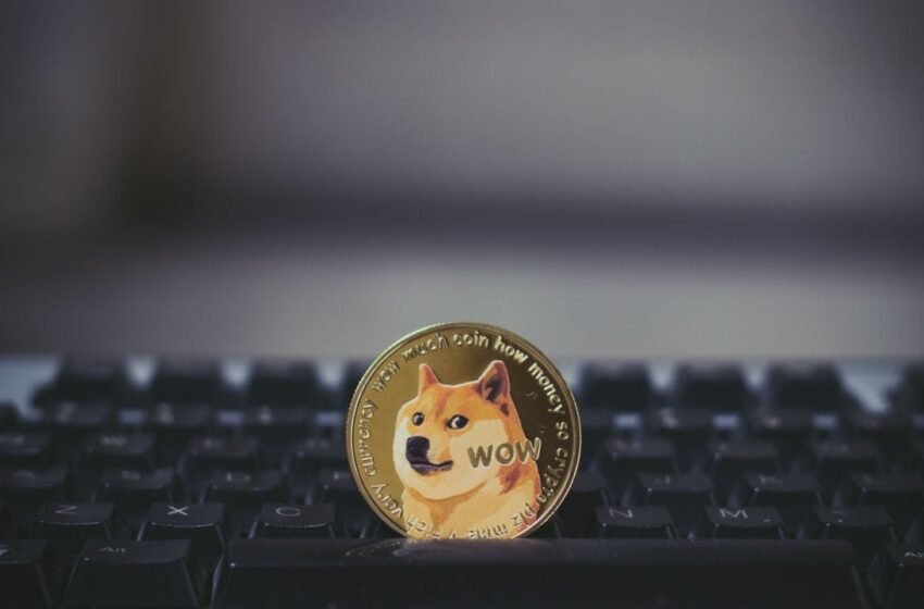  DOGE Extends Declines on Thursday, Falling by Nearly 9% – Market Updates Bitcoin News