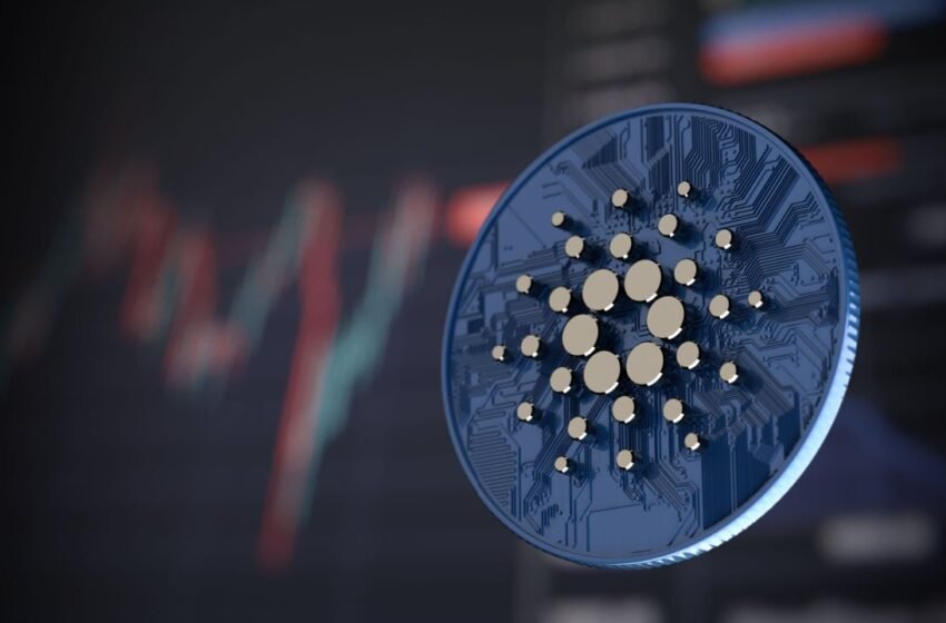  ADA Surges to 7-Month High, as XRP Extends Recent Gains  – Market Updates Bitcoin News