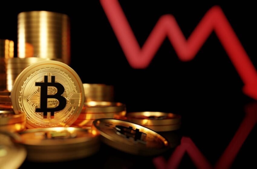 BTC Moves Below $29,000, Hitting a 10-Day Low – Market Updates Bitcoin News