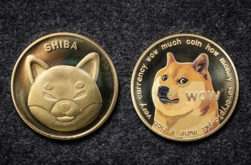  Biggest Movers: DOGE, SHIB Consolidate to Start the Week – Market Updates Bitcoin News