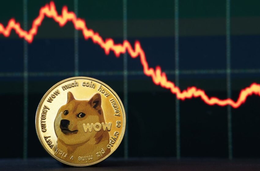  DOGE Loses Five Days’ Worth of Gains on Wednesday – Market Updates Bitcoin News