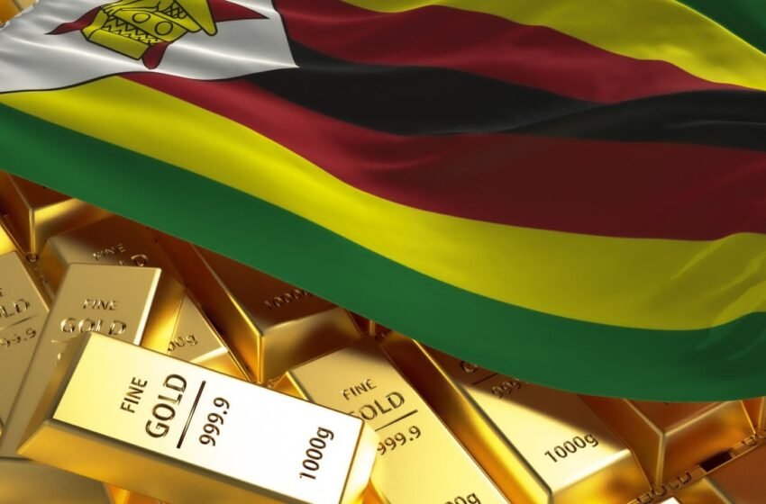  Zimbabwe’s Central Bank Says Upcoming Gold-Backed Digital Currency to Help Reduce Demand for US Dollar – Africa Bitcoin News