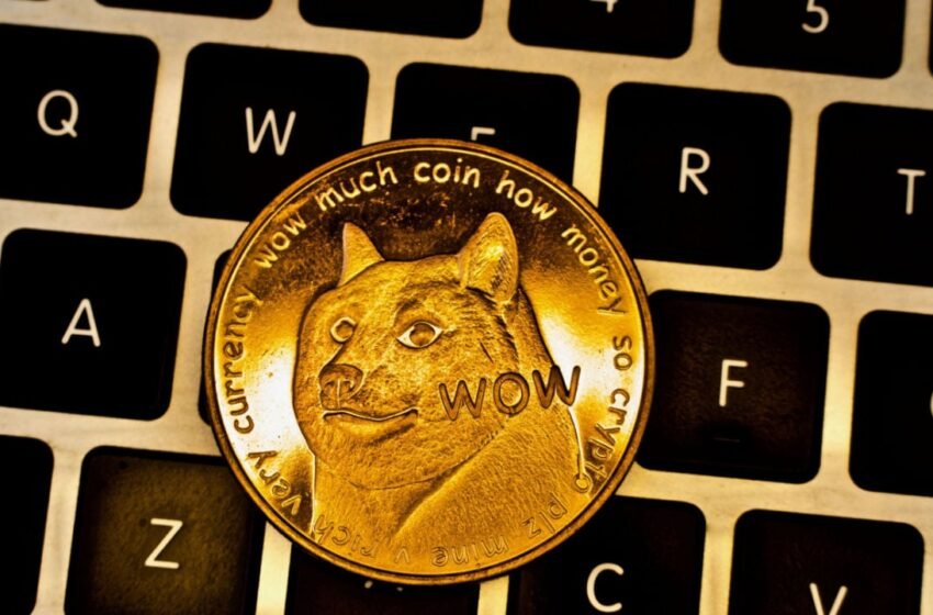  DOGE up 30%, Following Twitter Logo Change – Market Updates Bitcoin News