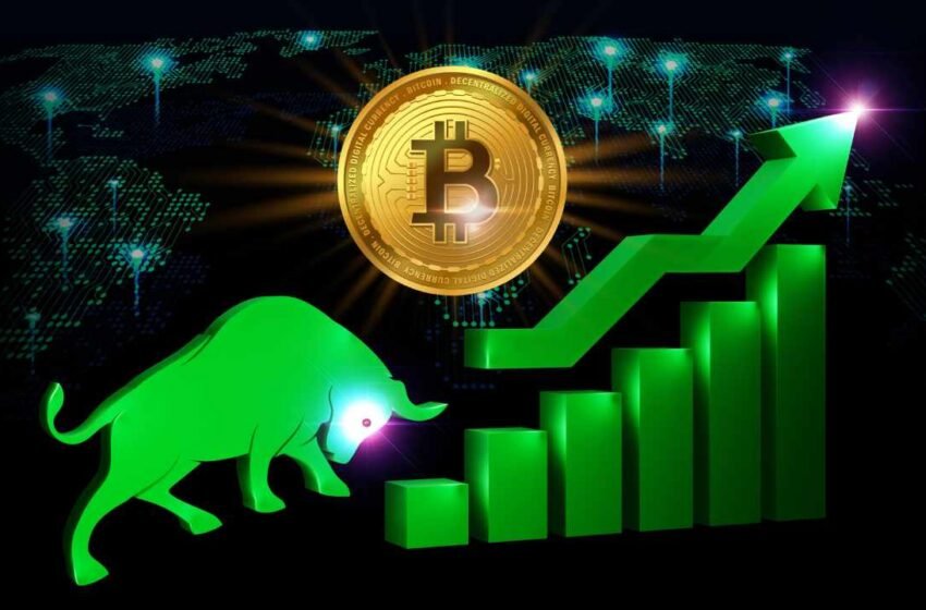  Crypto Winter Is Over — Bitcoin Could Reach $100K Next Year – Markets and Prices Bitcoin News