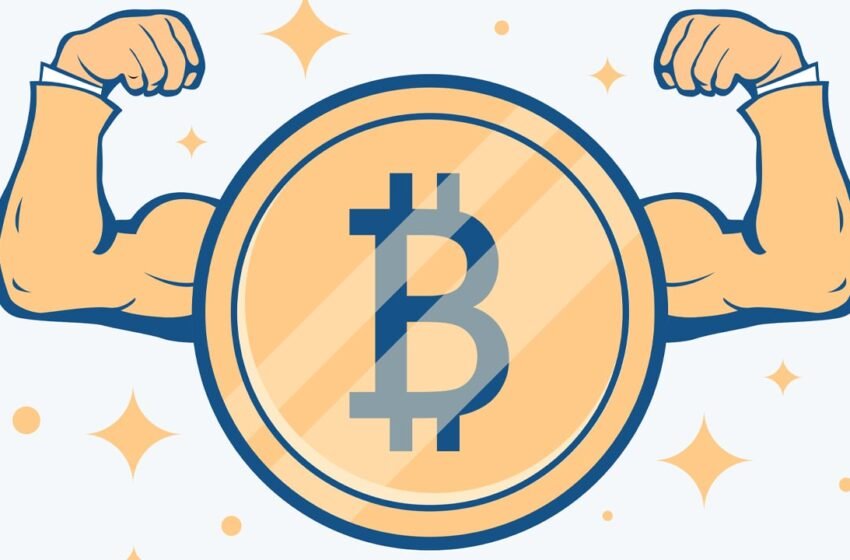  Bitcoin Hashrate Reaches All-Time High of 491 EH/s, Close to Half a Zettahash, as Network Preps for Next Difficulty Change – Mining Bitcoin News