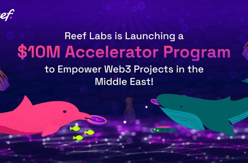  Reef Labs Is Launching a $10M Accelerator Program to Empower Web3 Projects in the Middle East – Press release Bitcoin News