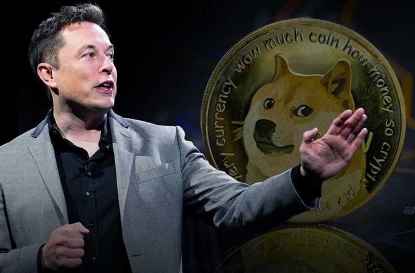  Why Dogecoin (DOGE) Holds the Title of Elon Musk’s Favorite Memecoin