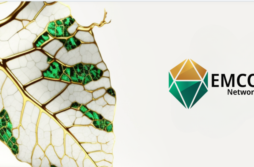  EMCO Network Unleashes Blockchain’s Potential for Precious Metal Industry and Financial Inclusion – Press release Bitcoin News