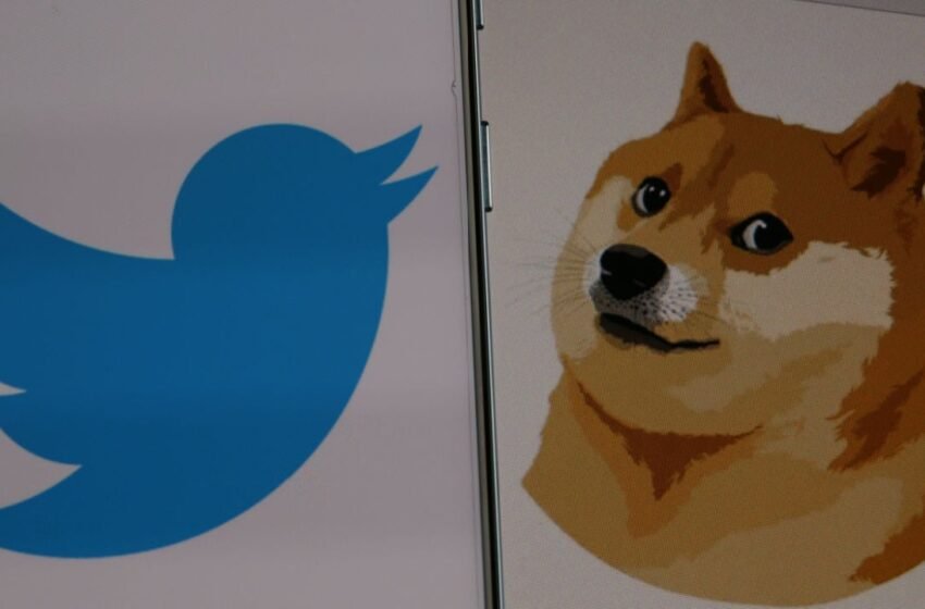  SHIB, DOGE Near Multi-Month Lows, as Musk Finds New Twitter CEO – Market Updates Bitcoin News