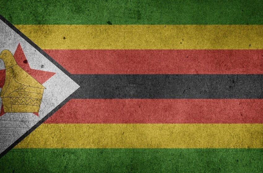 IMF Says Zimbabwe Gold-Backed Digital Currency a Potential Threat to Financial Stability – Africa Bitcoin News