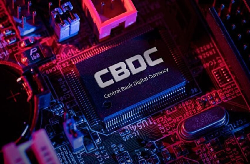  Survey Reveals Overwhelming Opposition to Government-Controlled CBDC Among US Adults