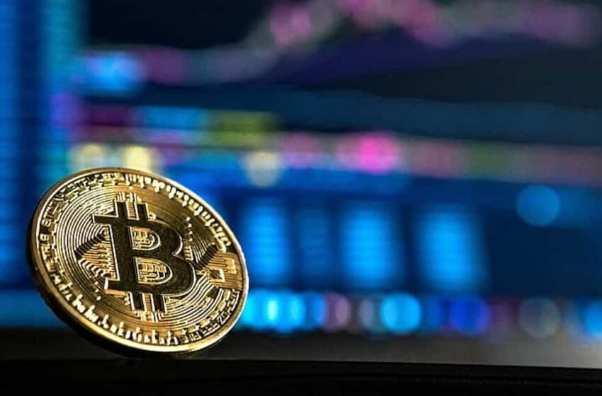  What to Expect in the Upcoming Bitcoin Halving