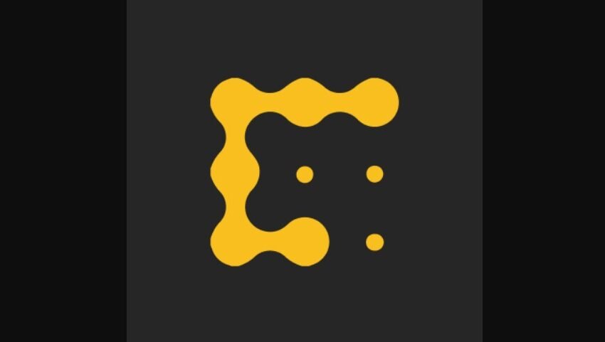  CryptoQuant’s Parent Company, Team Blackbird, Raises $6.5 Million in Series A Funding