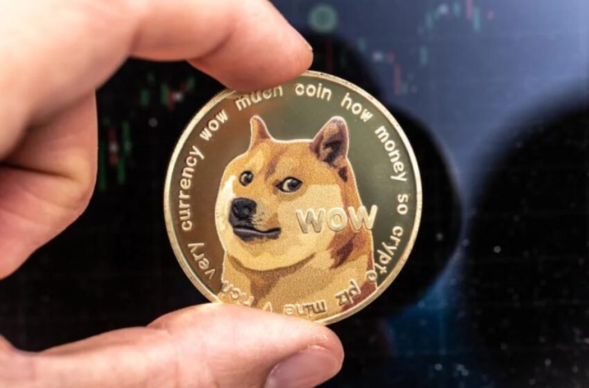  Dogecoin Co-founder Shares Excitement for Elon Musk’s AI Venture