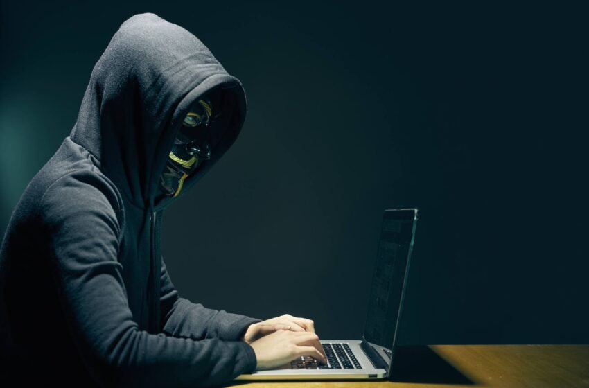  Ripple CTO and Crypto Law Warn Users of XRP Scammers Exploiting Positive News