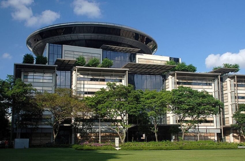  Cryptocurrencies Gain Legal Ground. Singapore Court Affirms Property Status