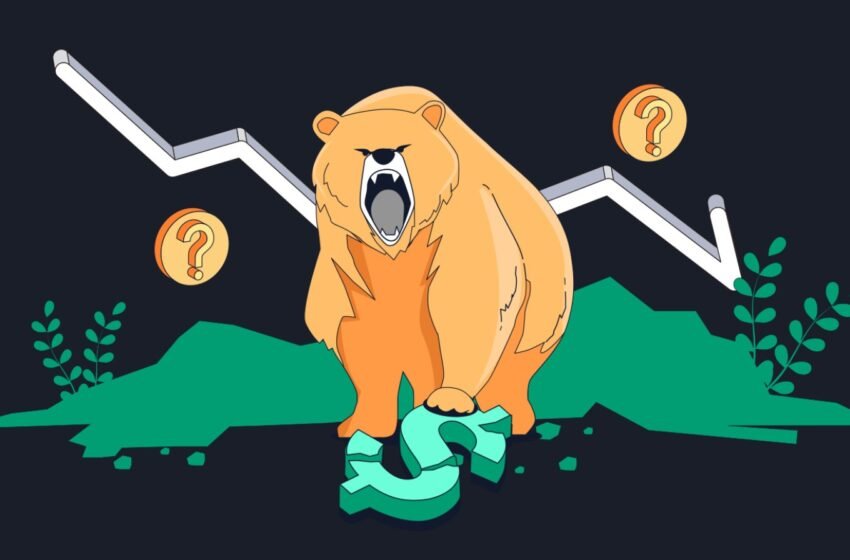  Vietnamese Consumers Maintain Faith in Crypto Investment Despite Bear Market
